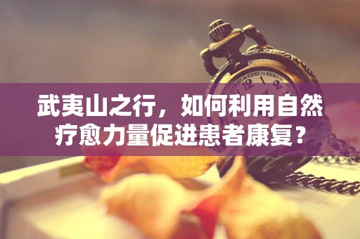 武夷山之行，如何利用自然疗愈力量促进患者康复？