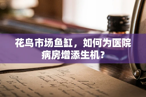花鸟市场鱼缸，如何为医院病房增添生机？