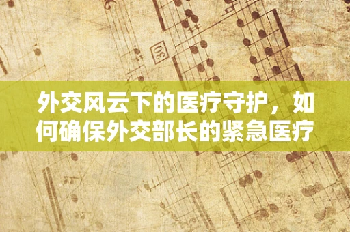 外交风云下的医疗守护，如何确保外交部长的紧急医疗预案？