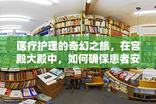医疗护理的奇幻之旅，在宫殿大殿中，如何确保患者安全与舒适？