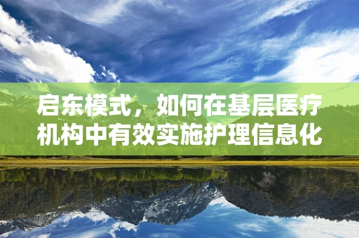 启东模式，如何在基层医疗机构中有效实施护理信息化？