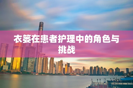 衣篓在患者护理中的角色与挑战