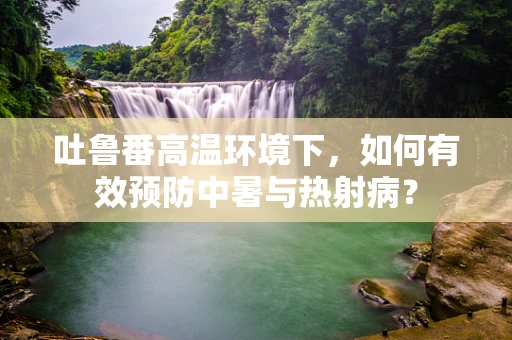 吐鲁番高温环境下，如何有效预防中暑与热射病？