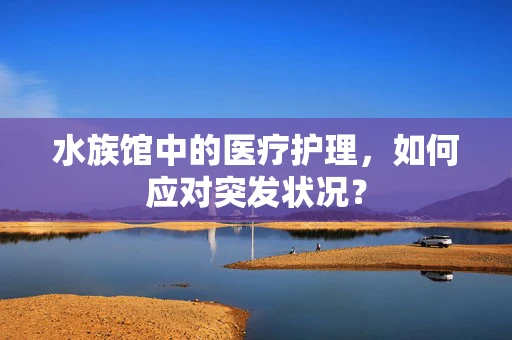水族馆中的医疗护理，如何应对突发状况？
