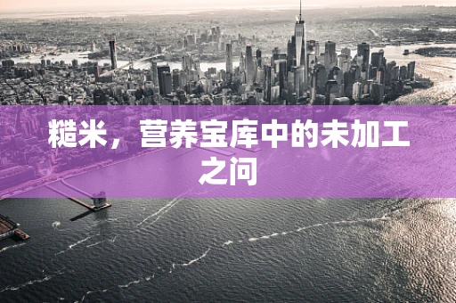 糙米，营养宝库中的未加工之问