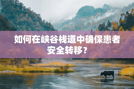 如何在峡谷栈道中确保患者安全转移？