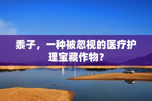 黍子，一种被忽视的医疗护理宝藏作物？