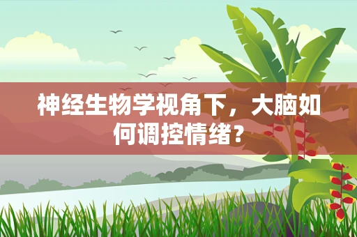 神经生物学视角下，大脑如何调控情绪？
