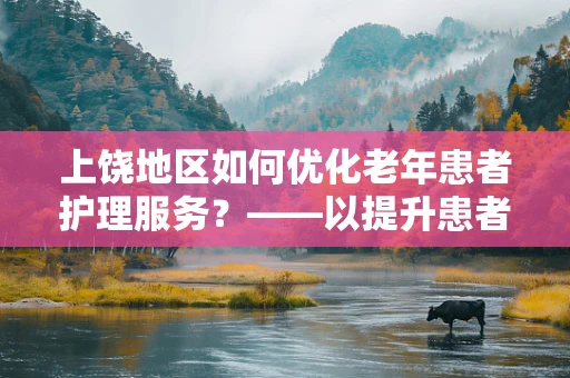 上饶地区如何优化老年患者护理服务？——以提升患者满意度与生活质量为核心