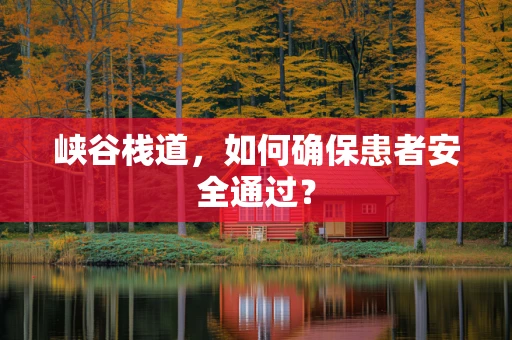 峡谷栈道，如何确保患者安全通过？