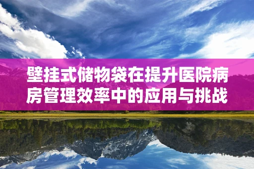 壁挂式储物袋在提升医院病房管理效率中的应用与挑战