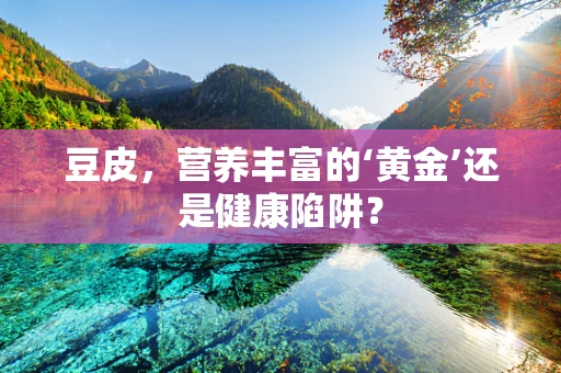 豆皮，营养丰富的‘黄金’还是健康陷阱？