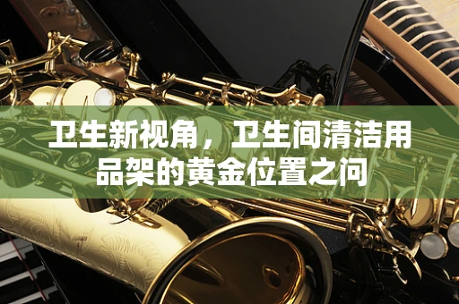 卫生新视角，卫生间清洁用品架的黄金位置之问