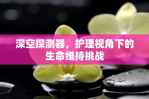 深空探测器，护理视角下的生命维持挑战