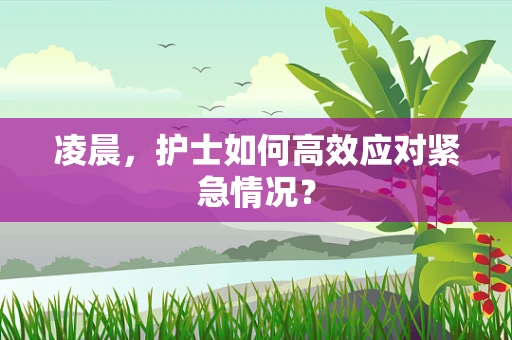 凌晨，护士如何高效应对紧急情况？