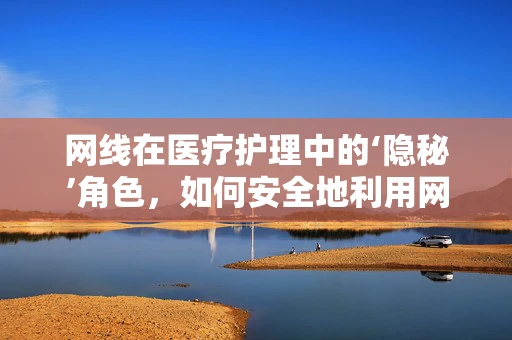 网线在医疗护理中的‘隐秘’角色，如何安全地利用网络资源提升护理效率？