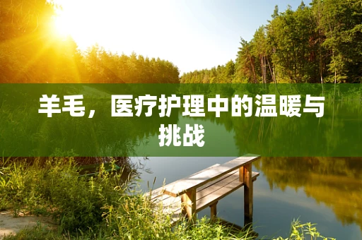 羊毛，医疗护理中的温暖与挑战