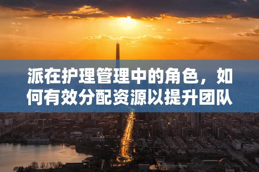 派在护理管理中的角色，如何有效分配资源以提升团队效率？