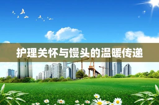 护理关怀与馒头的温暖传递