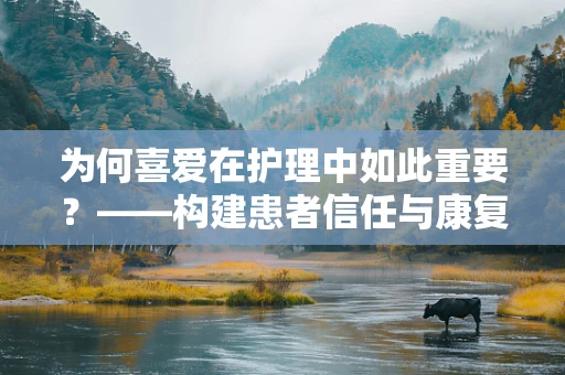 为何喜爱在护理中如此重要？——构建患者信任与康复之桥