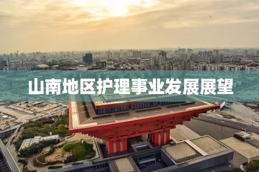 山南地区护理事业发展展望