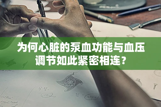为何心脏的泵血功能与血压调节如此紧密相连？