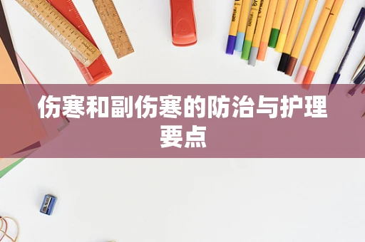 伤寒和副伤寒的防治与护理要点