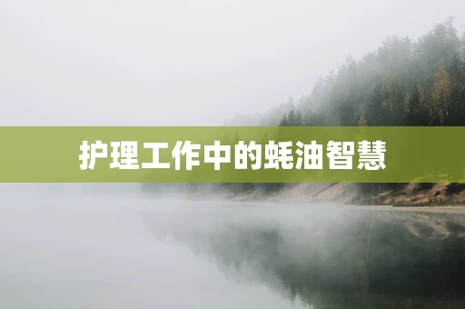 护理工作中的蚝油智慧