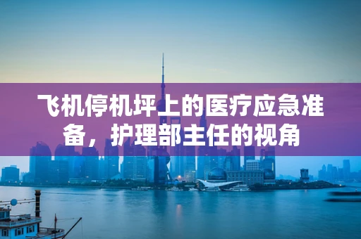 飞机停机坪上的医疗应急准备，护理部主任的视角
