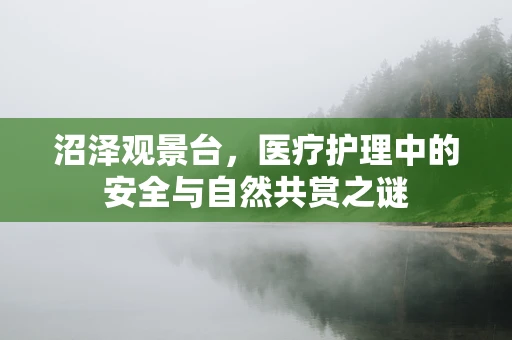 沼泽观景台，医疗护理中的安全与自然共赏之谜