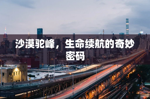 沙漠驼峰，生命续航的奇妙密码