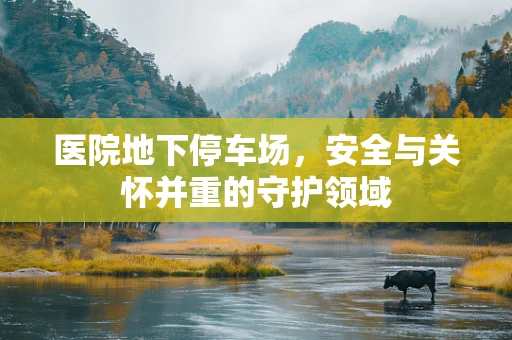 医院地下停车场，安全与关怀并重的守护领域