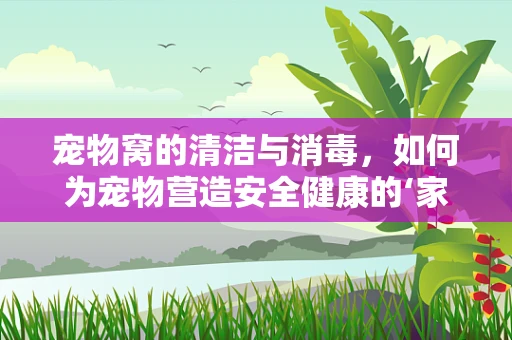 宠物窝的清洁与消毒，如何为宠物营造安全健康的‘家’？