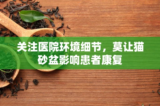 关注医院环境细节，莫让猫砂盆影响患者康复