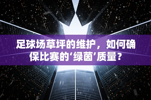 足球场草坪的维护，如何确保比赛的‘绿茵’质量？