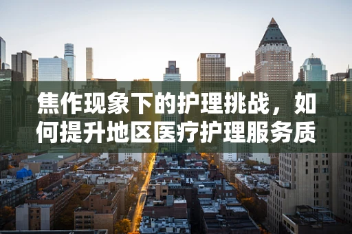 焦作现象下的护理挑战，如何提升地区医疗护理服务质量？