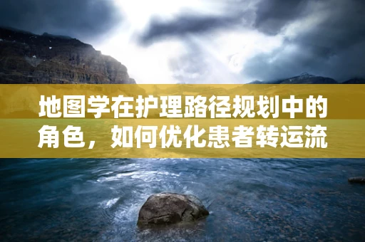 地图学在护理路径规划中的角色，如何优化患者转运流程？