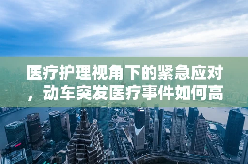 医疗护理视角下的紧急应对，动车突发医疗事件如何高效处理？