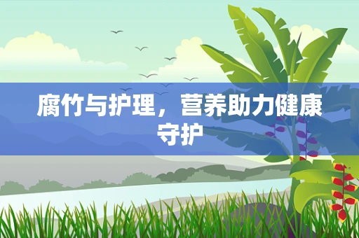 腐竹与护理，营养助力健康守护