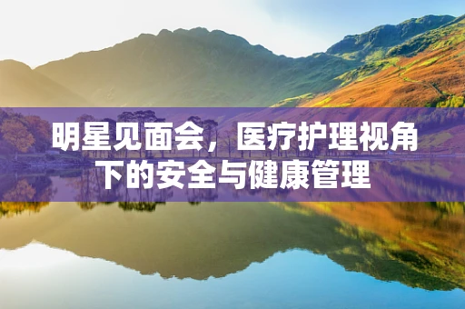 明星见面会，医疗护理视角下的安全与健康管理