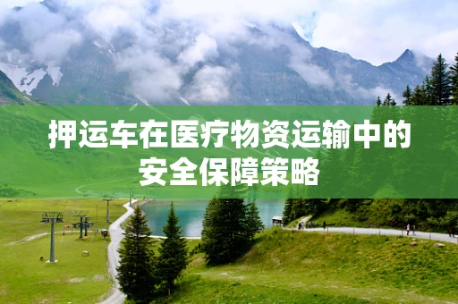 押运车在医疗物资运输中的安全保障策略