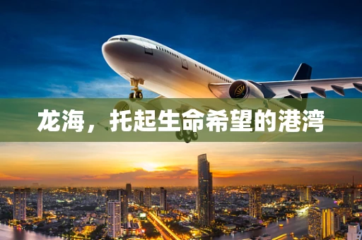 龙海，托起生命希望的港湾