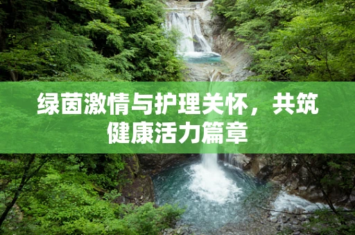 绿茵激情与护理关怀，共筑健康活力篇章