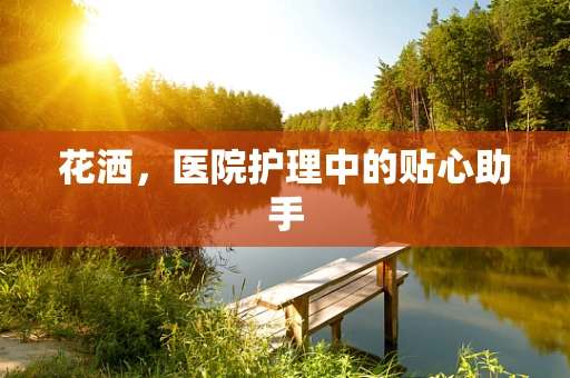 花洒，医院护理中的贴心助手