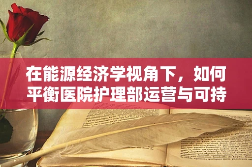 在能源经济学视角下，如何平衡医院护理部运营与可持续发展？