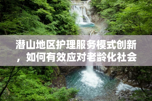 潜山地区护理服务模式创新，如何有效应对老龄化社会的挑战？