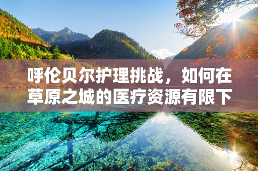 呼伦贝尔护理挑战，如何在草原之城的医疗资源有限下，优化患者护理体验？