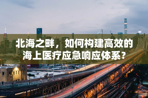 北海之畔，如何构建高效的海上医疗应急响应体系？