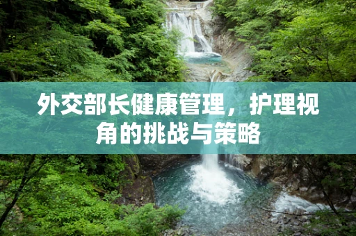 外交部长健康管理，护理视角的挑战与策略