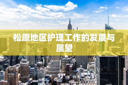 松原地区护理工作的发展与展望